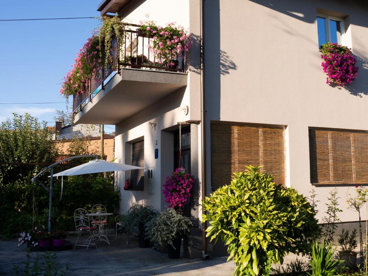 Apartment Dubovac كارلوفاتش المظهر الخارجي الصورة