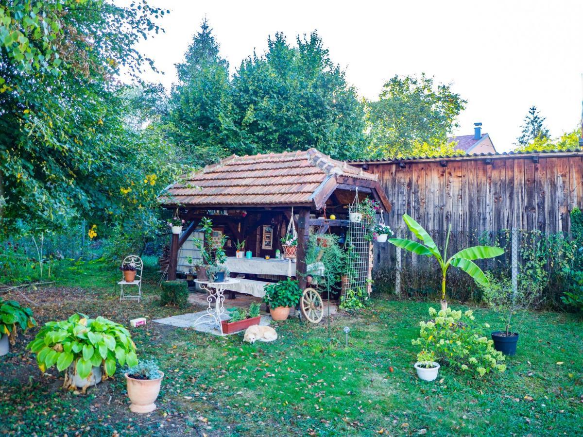 Apartment Dubovac كارلوفاتش المظهر الخارجي الصورة