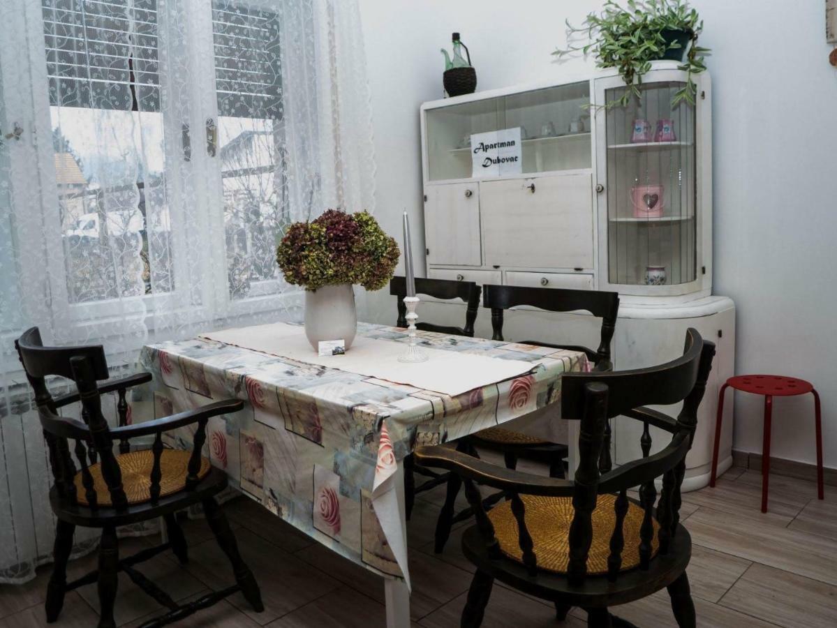 Apartment Dubovac كارلوفاتش المظهر الخارجي الصورة